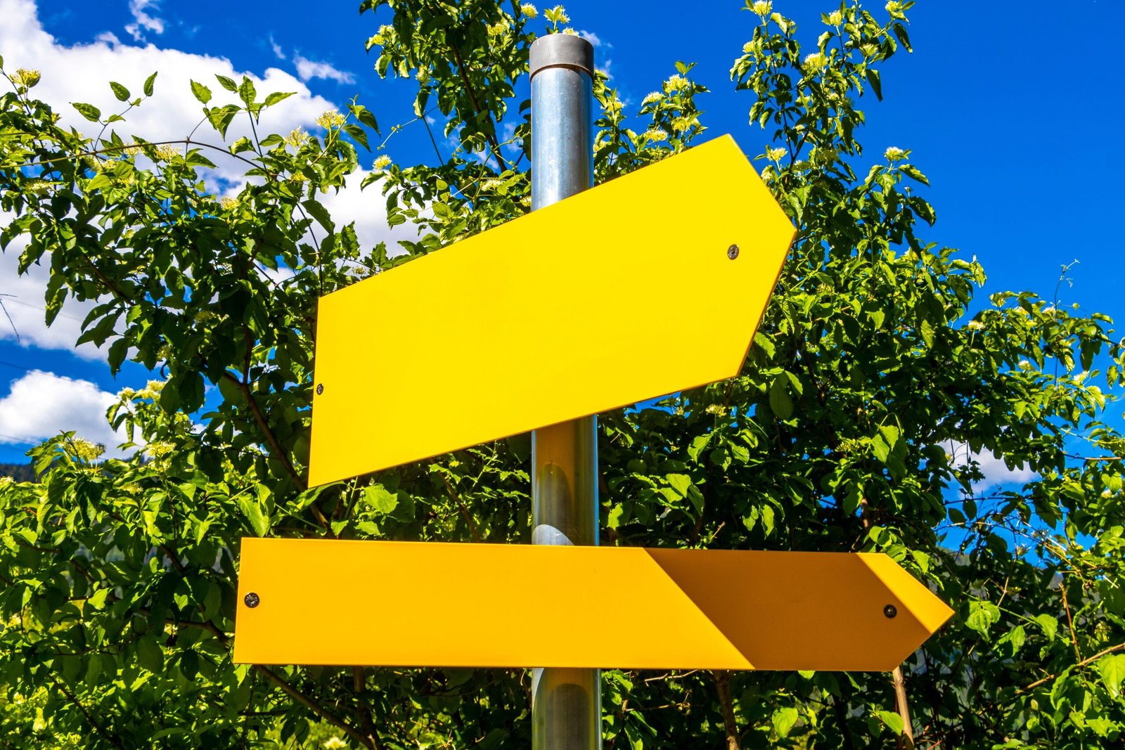 Pinn.media we design signage too paired up with enviromental design