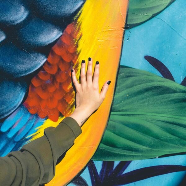 Art Direction Pinn.media